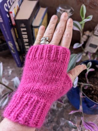 Winter Market Mitts
